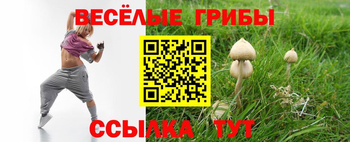 Галлюциногенные грибы MAGIC MUSHROOMS Серпухов