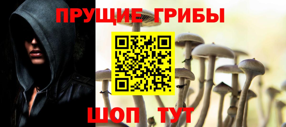 Серпухов  Псилоцибиновые грибы мухоморы  Вход с VPN 